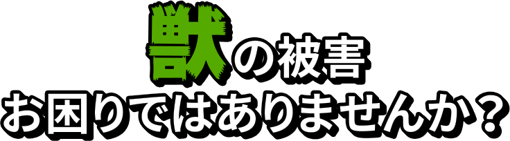 獣の被害お困りではありませんか？